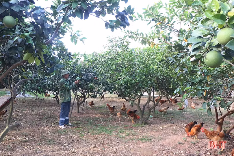 Người cựu binh Hà Tĩnh “vượt khó” làm kinh tế, tích cực đóng góp cho phong trào