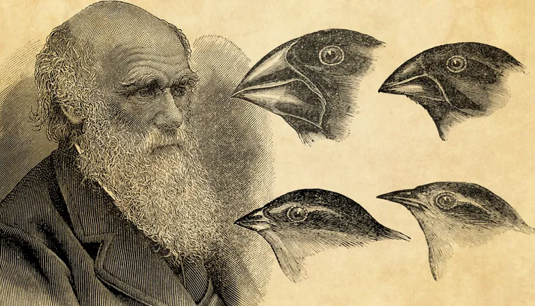Nghiên cứu chỉ ra lỗ hổng trong học thuyết của Darwin về tiến hóa - 1 Nghiên cứu chỉ ra “lỗ hổng” trong học thuyết của Darwin về tiến hóa
