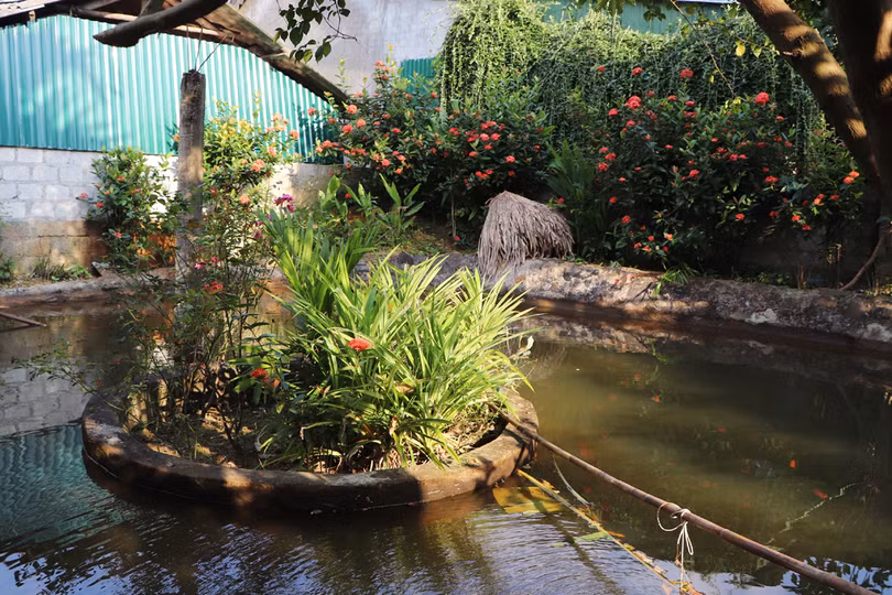 Vũ Quang xây dựng “Nông nghiệp an toàn, nông dân thông thái, nông thôn yên bình”