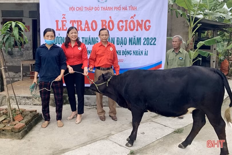 Hội Chữ thập đỏ các cấp ở Hà Tĩnh huy động hơn 6 tỷ đồng hoạt động nhân đạo
