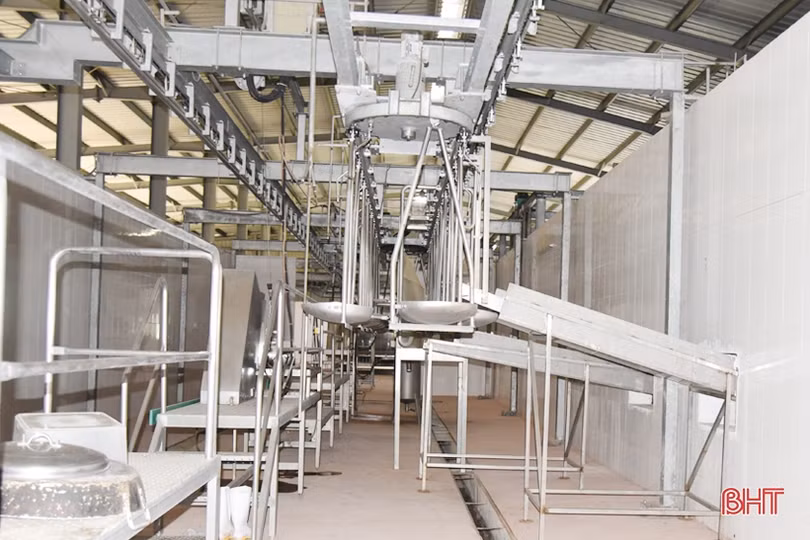 Nhà máy chế biến súc sản ở thị xã Kỳ Anh “đắp chiếu”