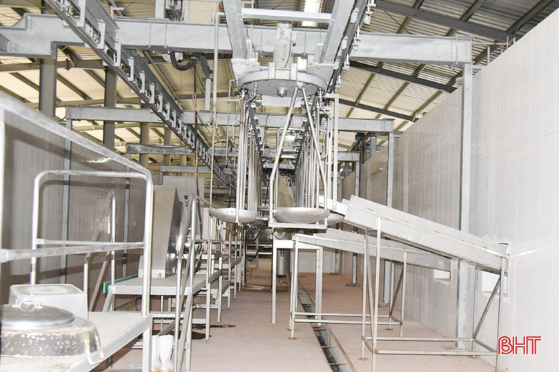 Nhà máy chế biến súc sản ở thị xã Kỳ Anh “đắp chiếu”