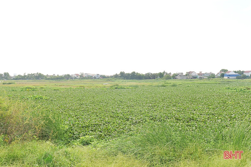 Đoàn công tác ADB khảo sát thực địa phát triển đô thị thích ứng biến đổi khí hậu