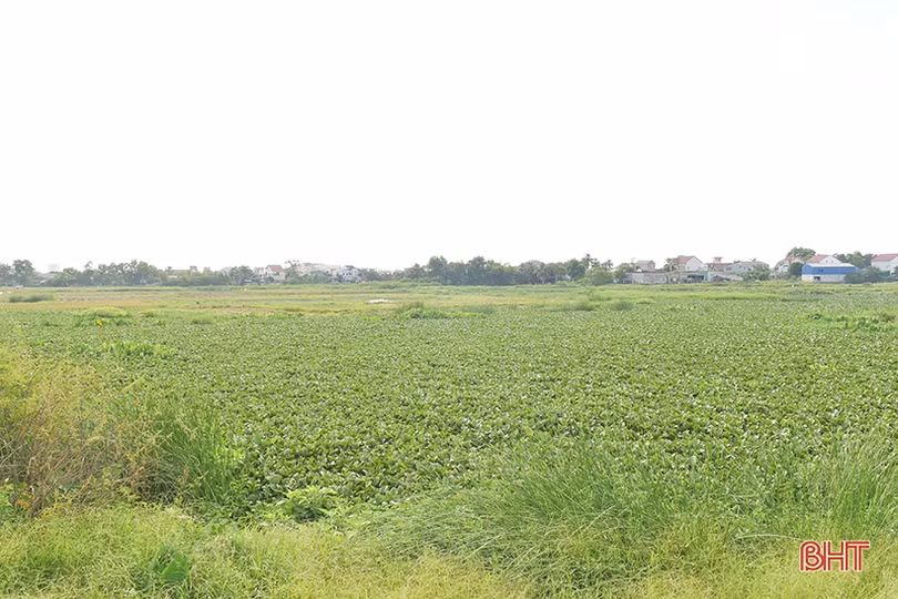 Đoàn công tác ADB khảo sát thực địa phát triển đô thị thích ứng biến đổi khí hậu