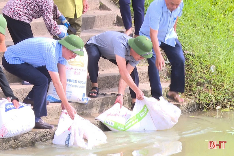 TP Hà Tĩnh thả hơn 4,5 tấn trai và cá tái tạo nguồn lợi thủy sản