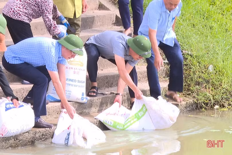 TP Hà Tĩnh thả hơn 4,5 tấn trai và cá tái tạo nguồn lợi thủy sản