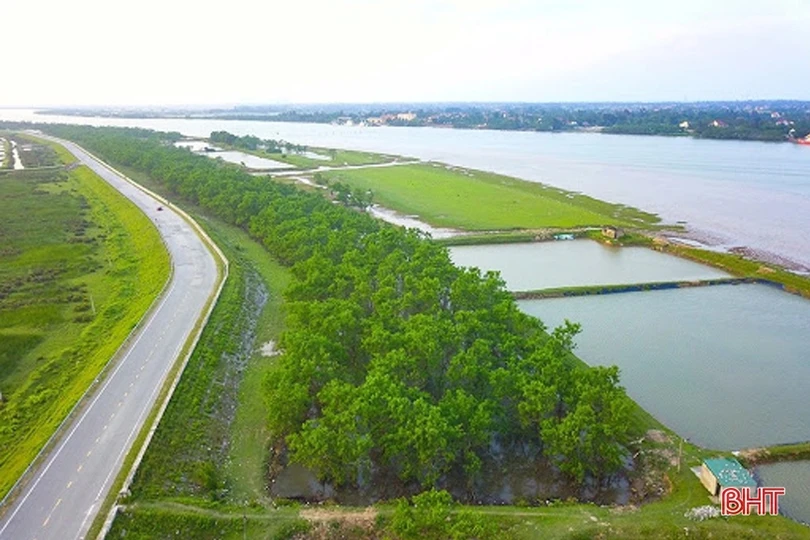 Hà Tĩnh tích cực đầu tư, nâng cấp đê, giữ gìn sản xuất như lời Bác dặn