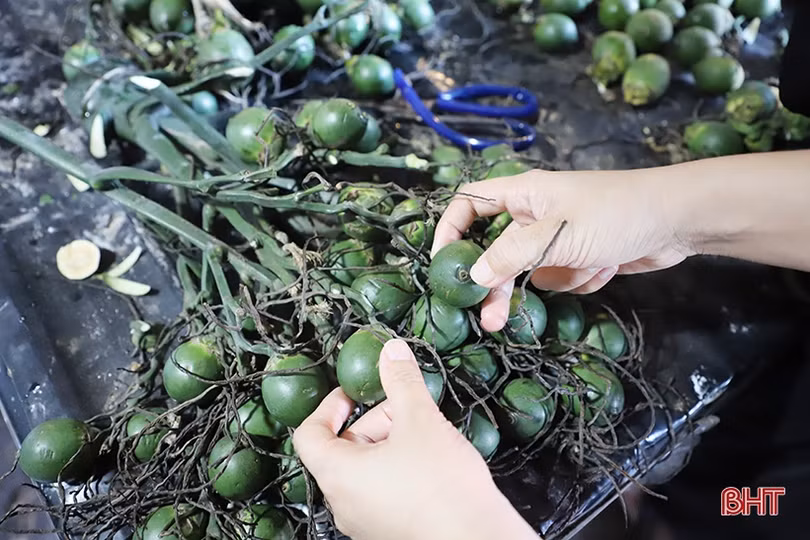 Chợ truyền thống ở Hà Tĩnh nhộn nhịp ngày tết Đoan Ngọ