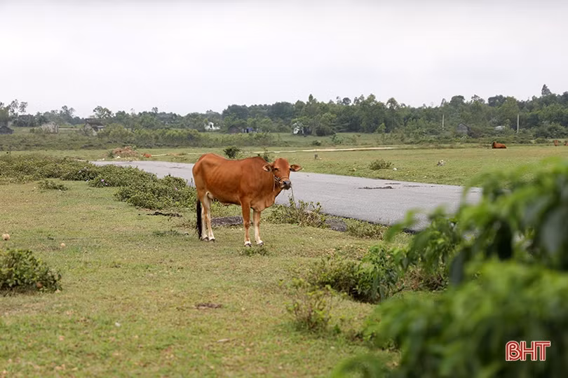 Khu tái định cư ở TX Kỳ Anh: Hàng loạt hố ga mất nắp, nguy hiểm rập rình!