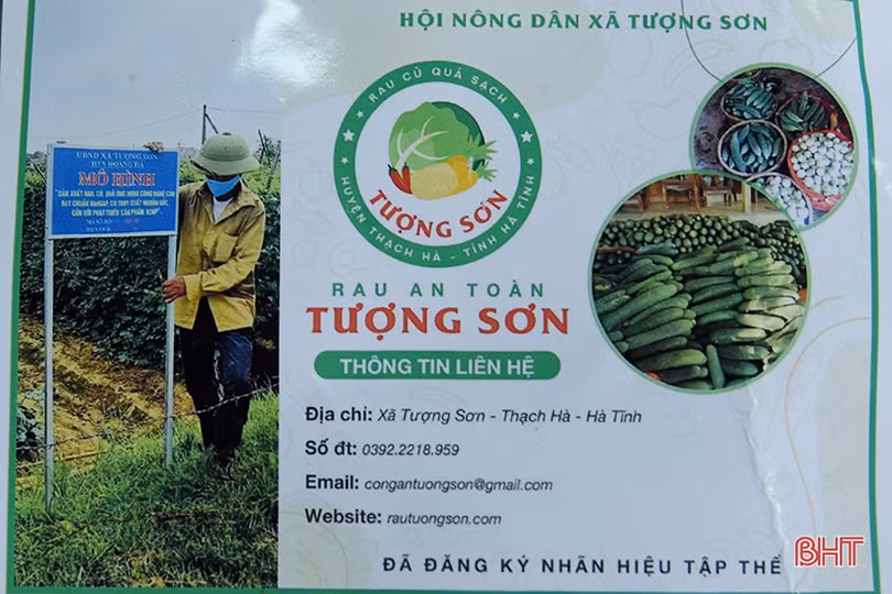 Nông sản Tượng Sơn được đăng ký nhãn hiệu tập thể