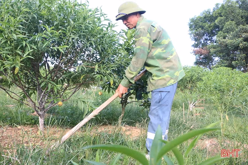 Người cựu binh Hà Tĩnh “vượt khó” làm kinh tế, tích cực đóng góp cho phong trào