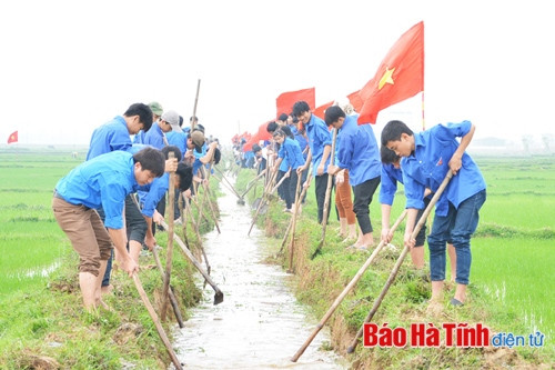 Nhiều hoạt động thiết thực trong Tháng Thanh niên 2015 ảnh 2