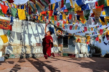 Giải tư. Ảnh: Mujeeb Kizhakkechalil - Ấn Độ.