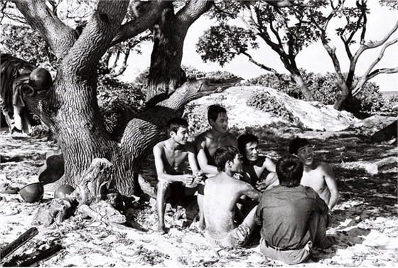 Khi mới bước chân lên đảo, những người lính đã có ý thức xây dựng một Trường Sa xanh khi xin đất liền chở ra hàng trăm tấn đất phù sa, hạt rau và những giống hoa ra đảo. Từ những cây cổ thụ này, lính đảo đã chiết cành, ươm mầm để đảo hôm nay rợp bóng mát. Mỗi mùa công binh ra xây dựng đảo, thiếu tướng Hoàng Kiền, khi ấy là Trung đoàn trưởng Trung đoàn Công binh Hải quân 83 cùng anh em ra ngoại ô Đà Nẵng, chọn nơi đất tốt, đất màu xúc mang về. Một bộ phận khác còn đi nhặt phân trâu, phân bò nhào với đất rồi chuyển xuống tàu, chở ra các đảo để trồng cây.