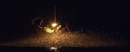 Ảnh tắc đường giờ tan tầm của Việt Nam đoạt giải quốc tế ảnh 20