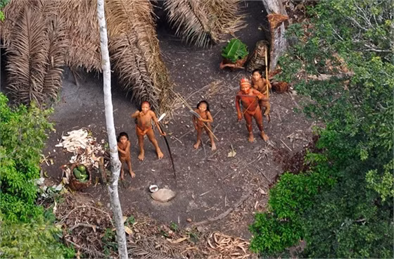 Hiện tượng tôm diễu hành trên cạn