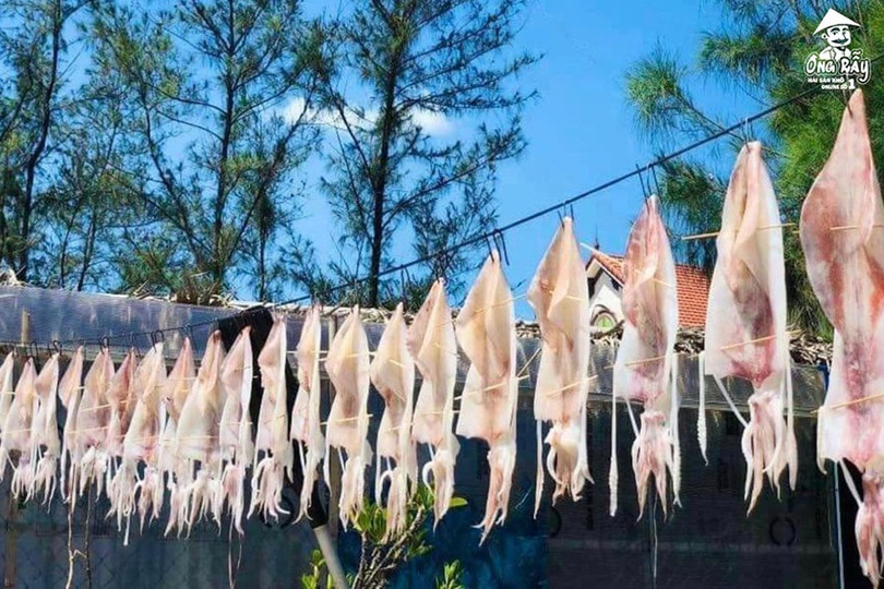 Mực khô câu gần bờ được phơi ngay khi còn tươi sống kho-ong-ray-3.jpg