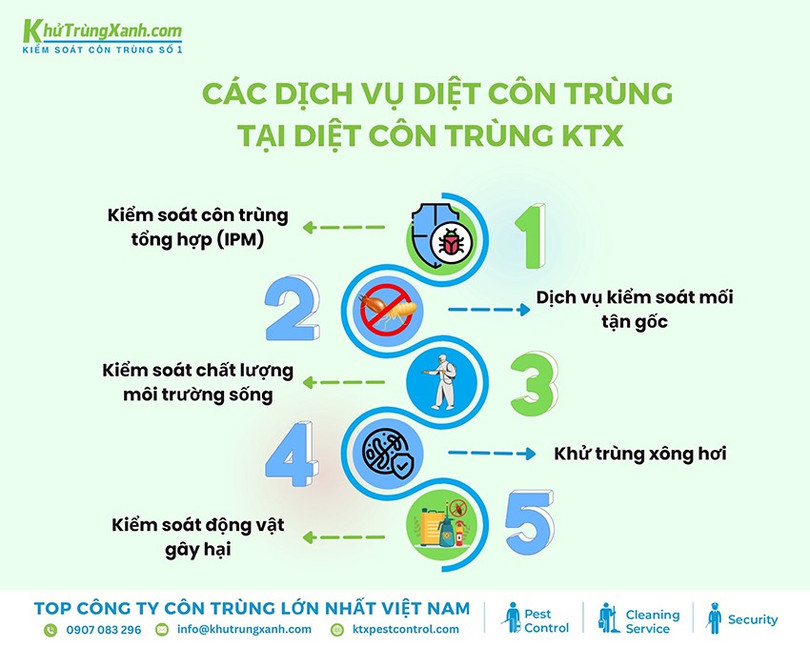 diet-con-trung-2.jpg