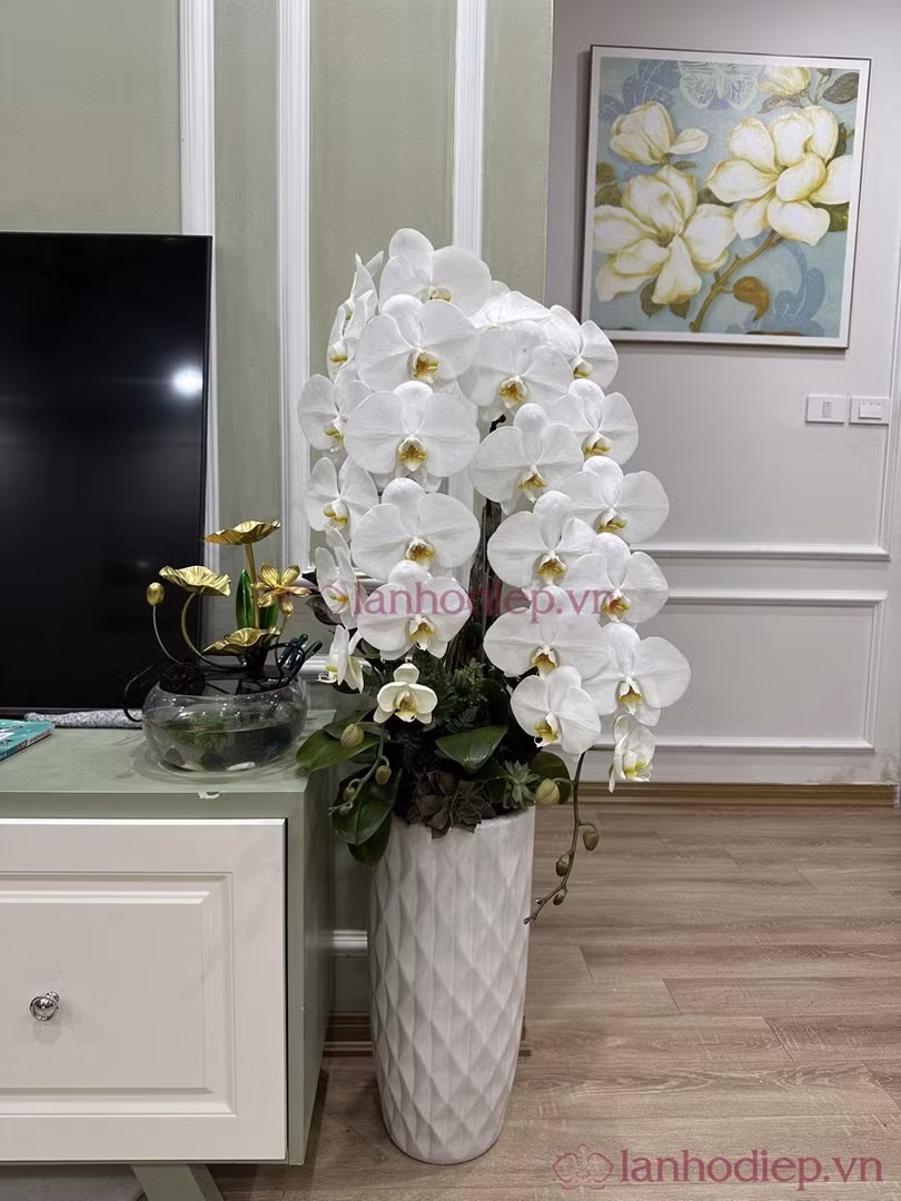 hoa-lan-273.jpg