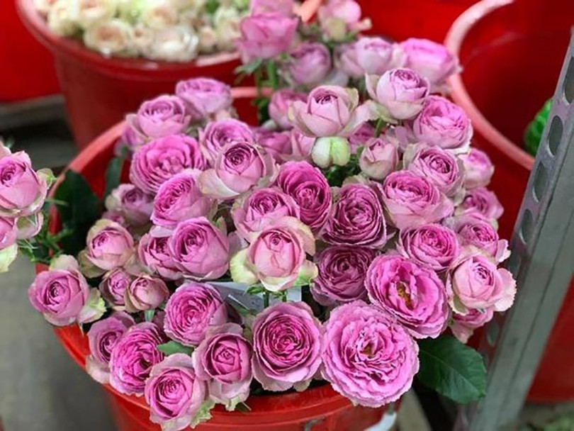Quỳnh Phương luôn hướng đến sự hài lòng của mọi khách hàng cong-ty-quynh-phuong-3.jpg