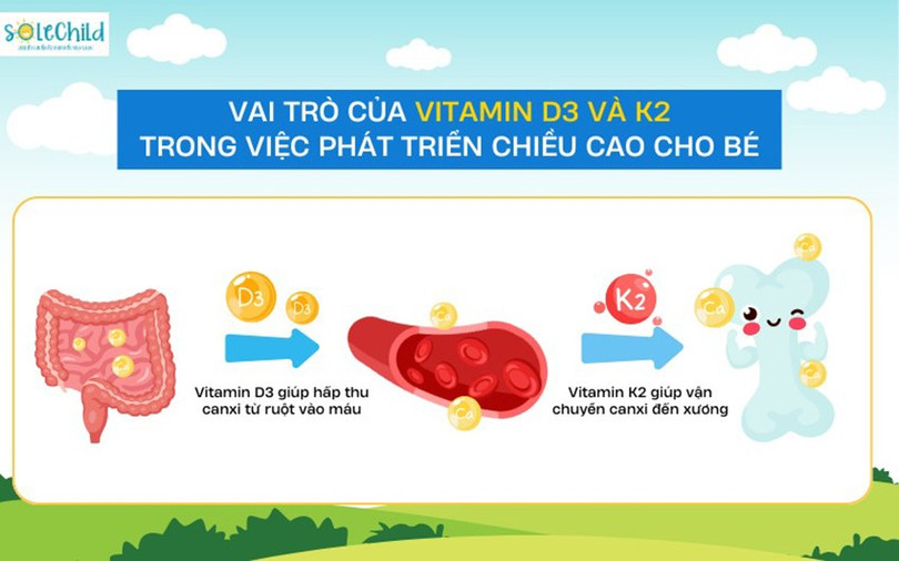 Vitamin D3 và K2 giúp tăng hấp thu canxi vào xương solechild-2.jpg
