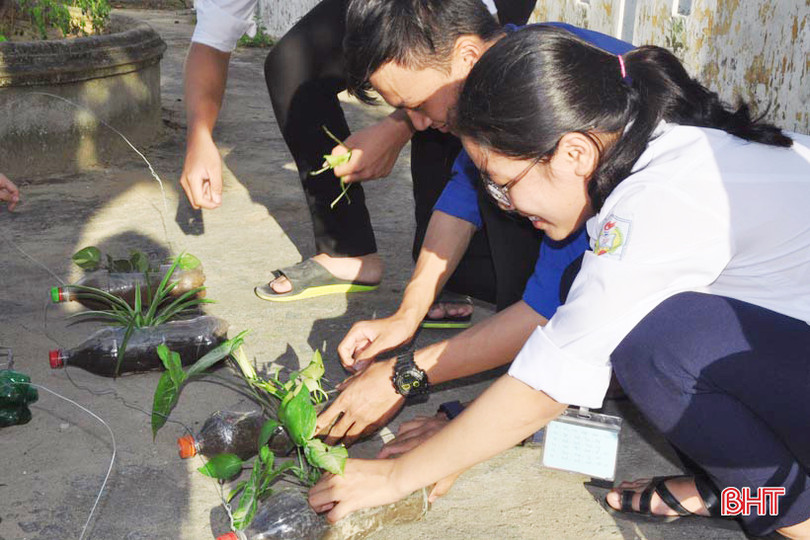 Những bầu cây “bắt mắt” trên tường rào của học sinh Hà Tĩnh