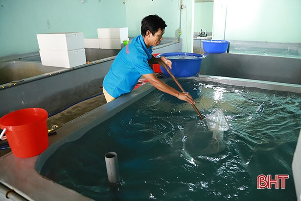 Thu nhập bình quân đầu người nông thôn Nghi Xuân đạt 36 triệu đồng/năm