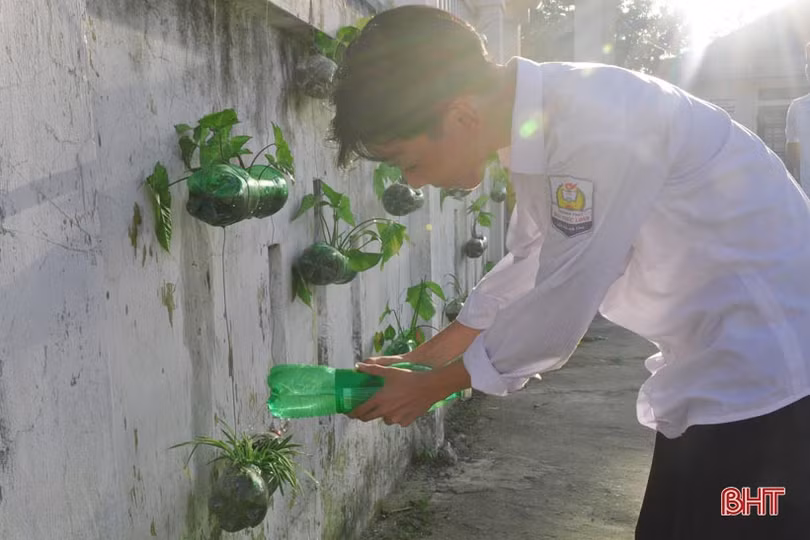 Những bầu cây “bắt mắt” trên tường rào của học sinh Hà Tĩnh