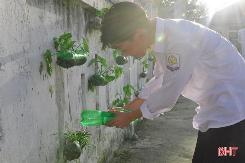 Những bầu cây “bắt mắt” trên tường rào của học sinh Hà Tĩnh