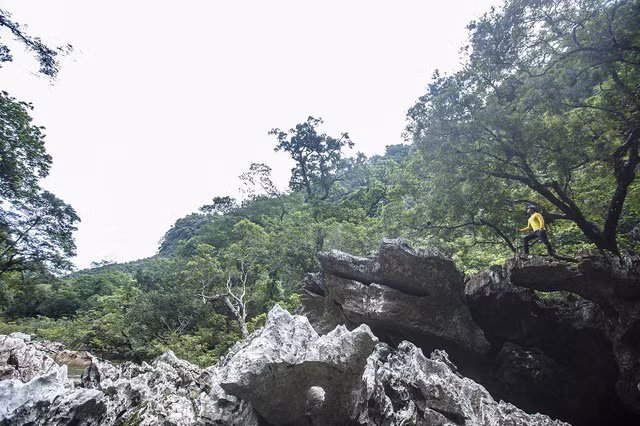 Chiêm ngưỡng vẻ đẹp của hang Vòm - giếng Voọc