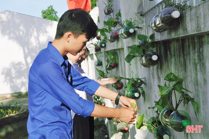 Những bầu cây “bắt mắt” trên tường rào của học sinh Hà Tĩnh