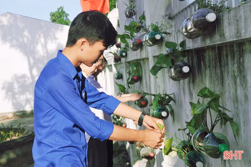 Những bầu cây “bắt mắt” trên tường rào của học sinh Hà Tĩnh
