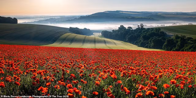 Những bức ảnh đẹp mê hồn trong Giải thưởng nhiếp ảnh năm 2018