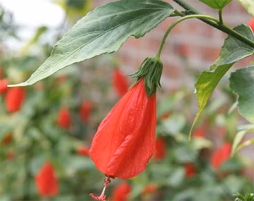 Những món thần thánh “ăn kèm roi” của tuổi thơ 8x, 9x