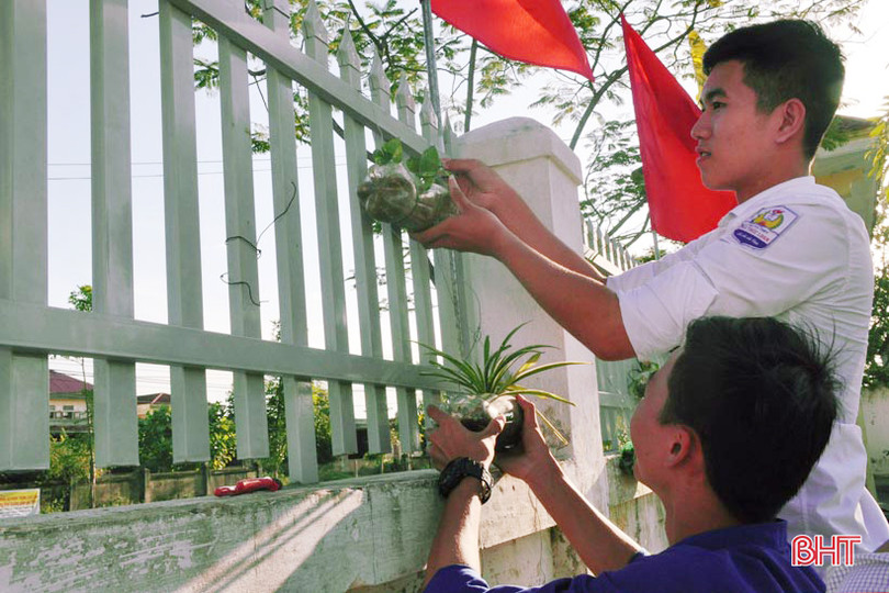 Những bầu cây “bắt mắt” trên tường rào của học sinh Hà Tĩnh