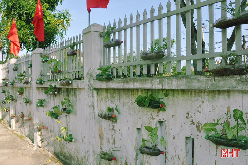 Những bầu cây “bắt mắt” trên tường rào của học sinh Hà Tĩnh