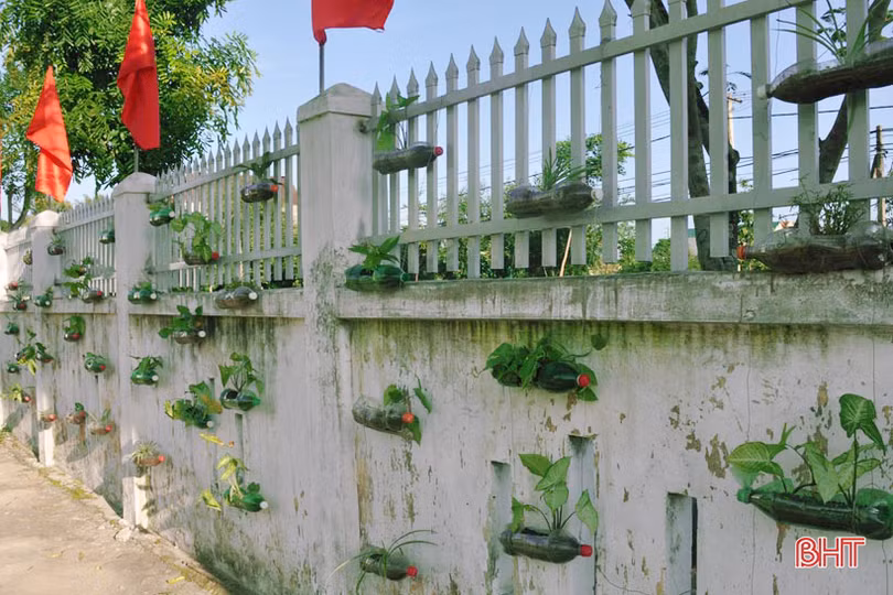 Những bầu cây “bắt mắt” trên tường rào của học sinh Hà Tĩnh