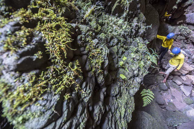 Chiêm ngưỡng vẻ đẹp của hang Vòm - giếng Voọc