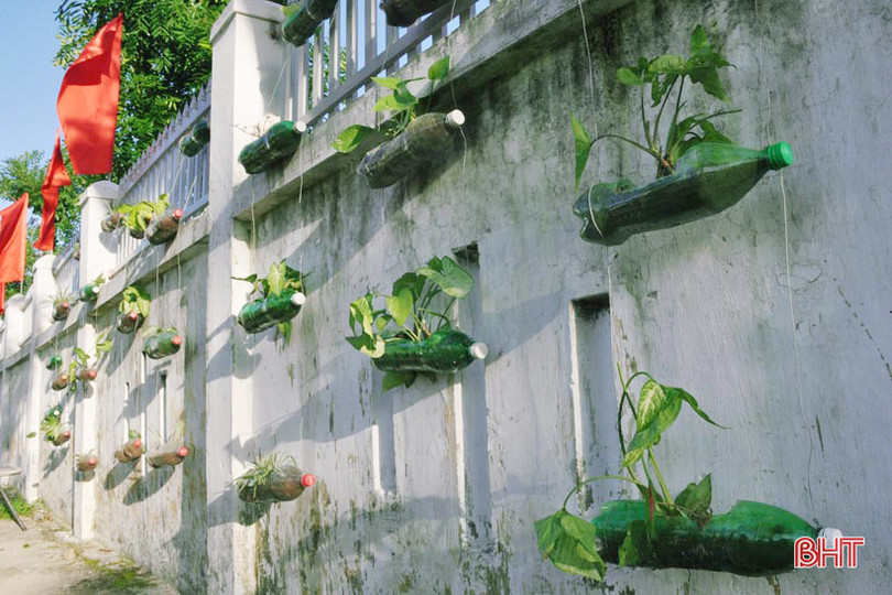 Những bầu cây “bắt mắt” trên tường rào của học sinh Hà Tĩnh