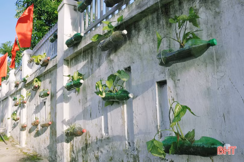 Những bầu cây “bắt mắt” trên tường rào của học sinh Hà Tĩnh