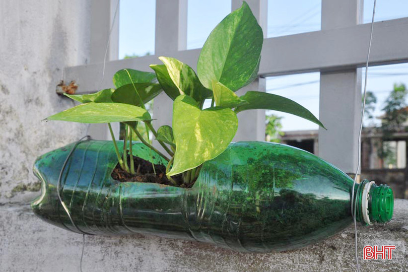 Những bầu cây “bắt mắt” trên tường rào của học sinh Hà Tĩnh