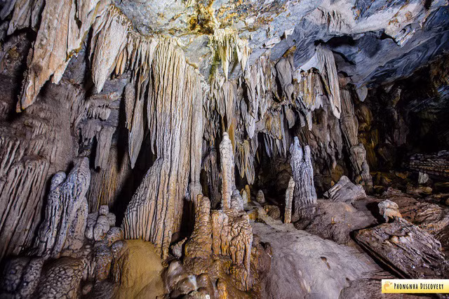 Chiêm ngưỡng vẻ đẹp của hang Vòm - giếng Voọc