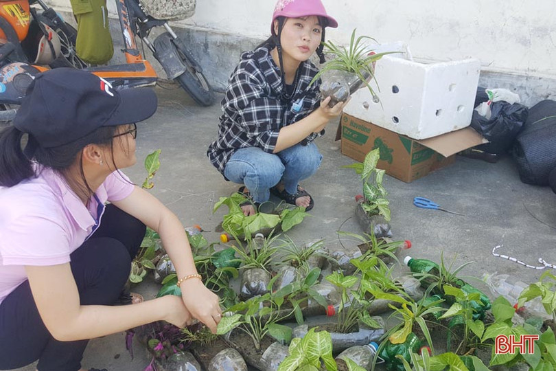 Những bầu cây “bắt mắt” trên tường rào của học sinh Hà Tĩnh