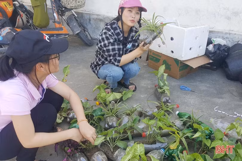 Những bầu cây “bắt mắt” trên tường rào của học sinh Hà Tĩnh