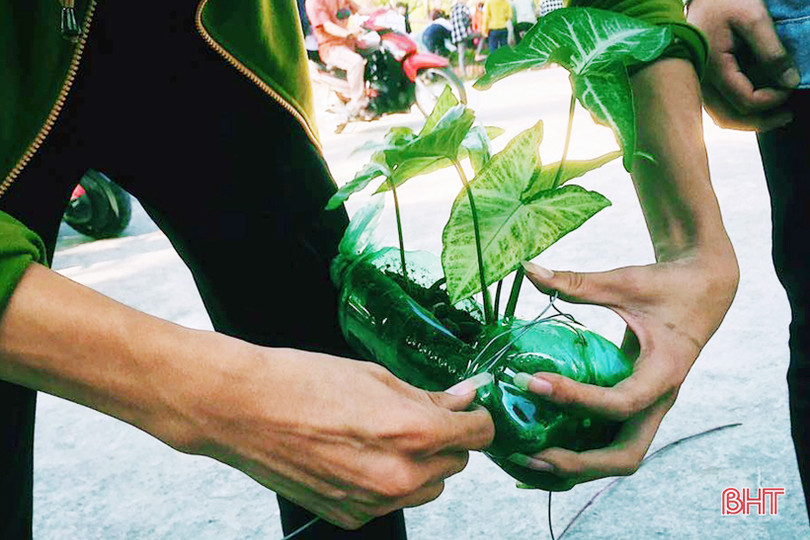 Những bầu cây “bắt mắt” trên tường rào của học sinh Hà Tĩnh