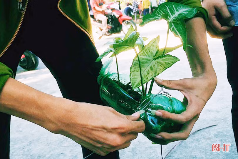 Những bầu cây “bắt mắt” trên tường rào của học sinh Hà Tĩnh