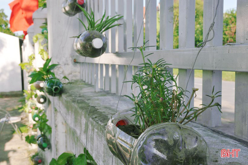 Những bầu cây “bắt mắt” trên tường rào của học sinh Hà Tĩnh