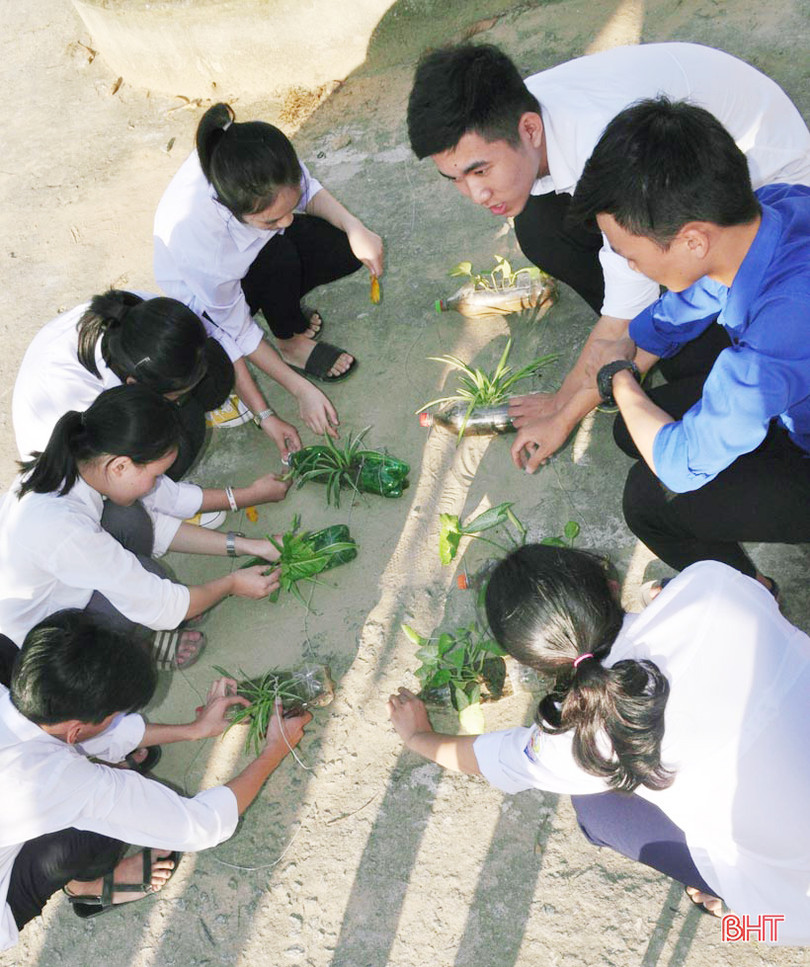 Những bầu cây “bắt mắt” trên tường rào của học sinh Hà Tĩnh