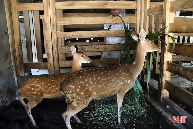 Đảng bộ xã Quang Diệm khai thác nguồn lực mới để phát triển