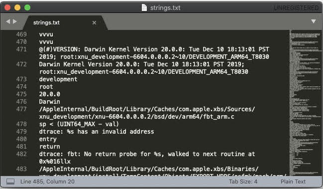 Một số dòng mã lấy từ mã nguồn nội bộ của iOS 14. Ảnh: Vice. iPhone mới chưa ra, mã nguồn iOS 14 đã bị chia sẻ khắp Internet